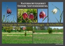 Schachblumen im Seevetal