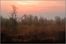 Morgenstimmung... Moorlandschaft *Sonnenaufgang*