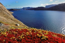 Herbst in Westgrönland