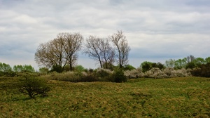 Was vom Niederrhein