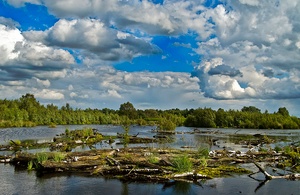 Wolkenbildung über dem Diepholzer Moor