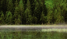 Brunnsee