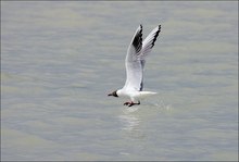 Beim Abflug