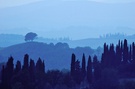 ~ Blaue Stunde ~