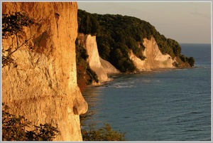 Kreidefelsen, Rügen, Nationalpark Jasmund