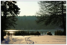 Winter am See