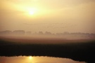 Herbstmorgen im NP Vorpommersche Boddenlandschft ND