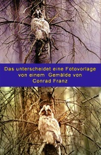 ND Waldohreule gemalt und fotografiert
