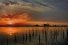 Sonnenuntergang im Okovangodelta