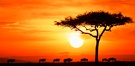 Sonnenaufgang in der Masai Mara, ND