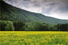 ~ Impressionen aus dem französischen Jura ~