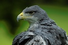 Cooler Blick