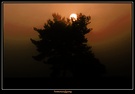 Sonnenaufgang