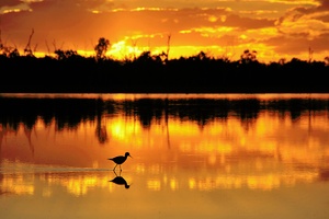 Abendstimmung am See