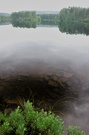 Waldsee in Südnorwegen