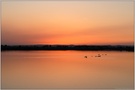 ein Tag geht zu Ende... Sonnenuntergang *am See*