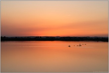 ein Tag geht zu Ende... Sonnenuntergang *am See*