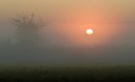 Sonnenaufgang im Nebel