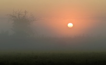 Sonnenaufgang im Nebel