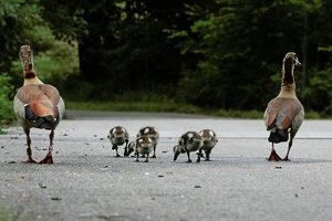 I'm walking