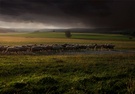 Weites Land