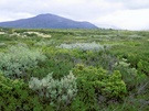 ~Dovrefjell Classic~