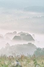 Spätsommernebelmorgen