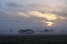 Spätherbstmorgen in der Altmark