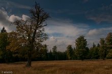 Schachten im Bayerischen Wald Nationalpark