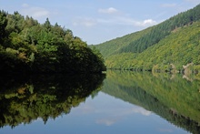 Urftstausee