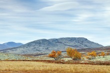 Rondane