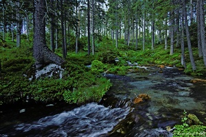 Natur pur