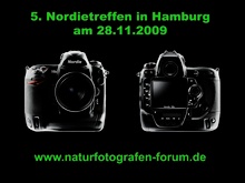 5. Nordietreffen 28.11.2009