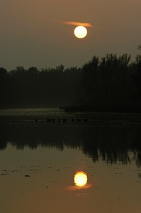 Lobau im Herbst