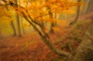 ~ Herbst-Malerei ~