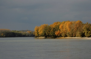 Herbst an der Donau