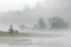 Nebel am See