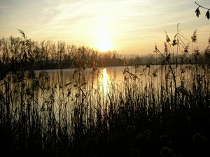 Sonnenuntergang am See