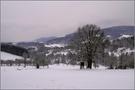 Winterlandschaft...