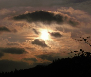 Sonnenuntergang beim Kürnberg Wald