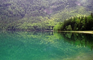 Spiegelung der Natur