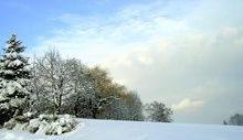 Schöner Wintertag