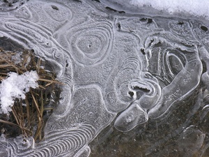 Eiszeit: Mammut entdeckt