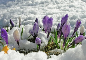 zitternder Frühling 2