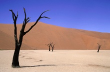 Deadvlei