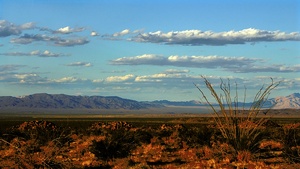 Yoshua Tree National Park ND