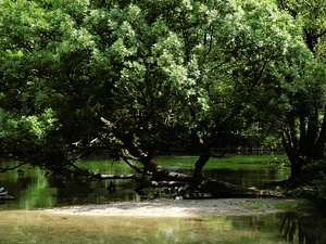 provencalische Flusslandschaft ND