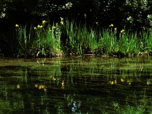 provencalische Flusslandschaft 3