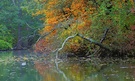 Herbstbeginn am Teich_2