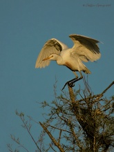 "Abflug im Abendlicht"